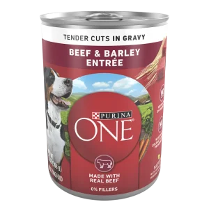 Purina ONE Beef & Barley Entrée Tender Cuts In Gravy Wet Dog Food