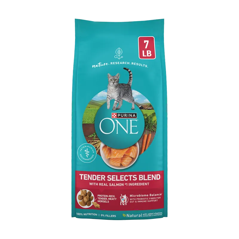 Purina ONE Tender Selects Blend With Real Salmon Dry Cat Food